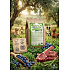 CEZZOO Natura Dog Fresh Lamb&Blueberry  Adult GF 10kg
